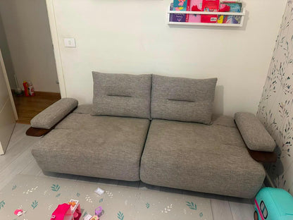 Couch - Sofa Bed