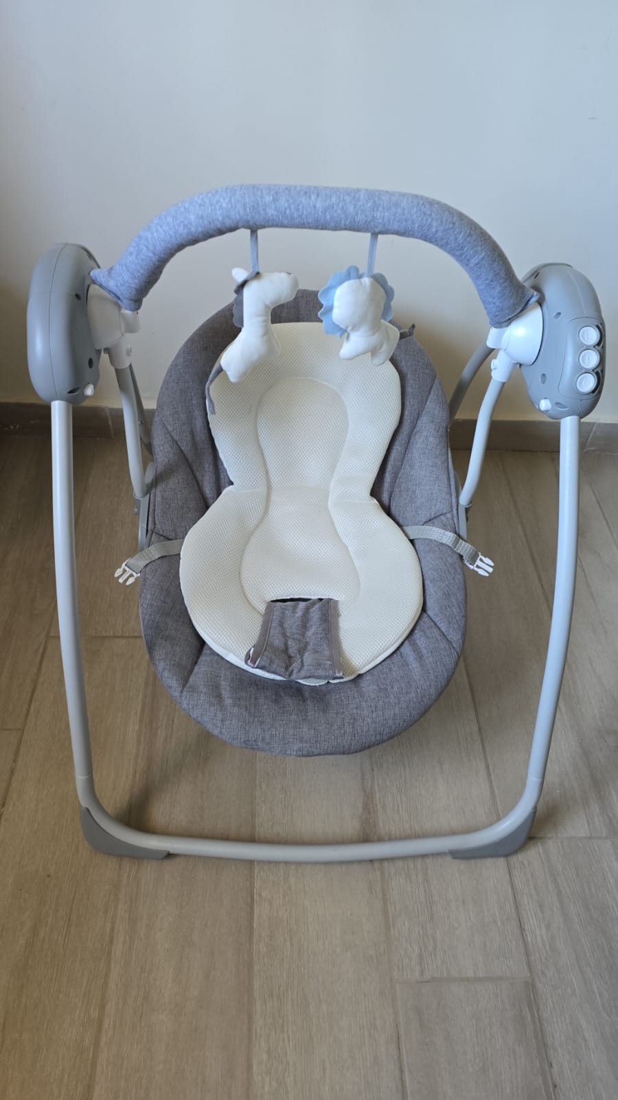 Electric Swing