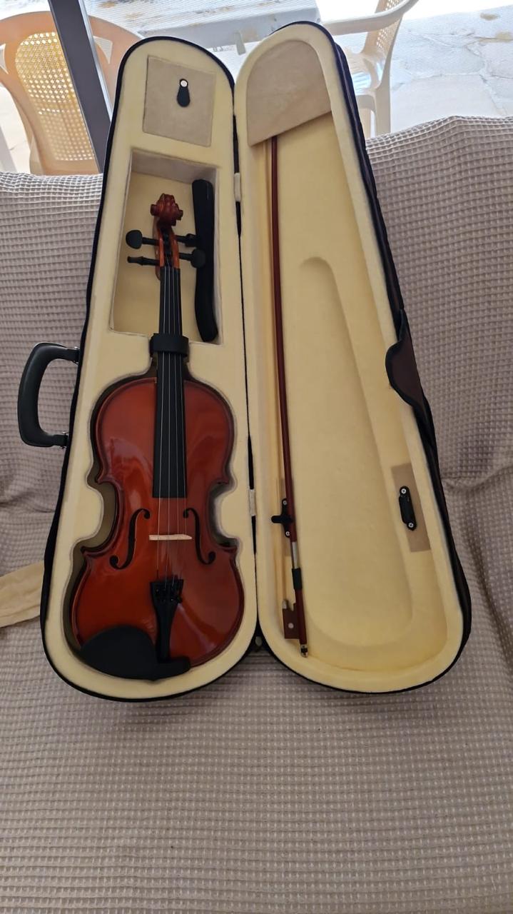 Violin