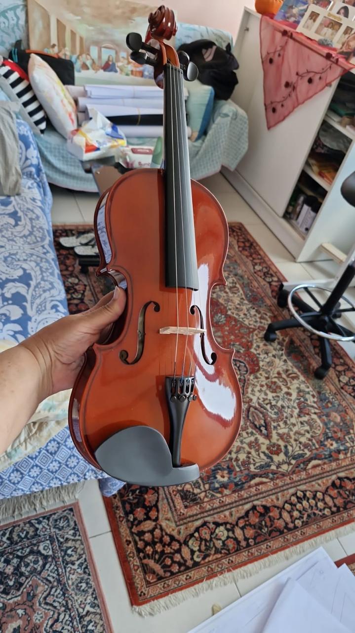 Violin