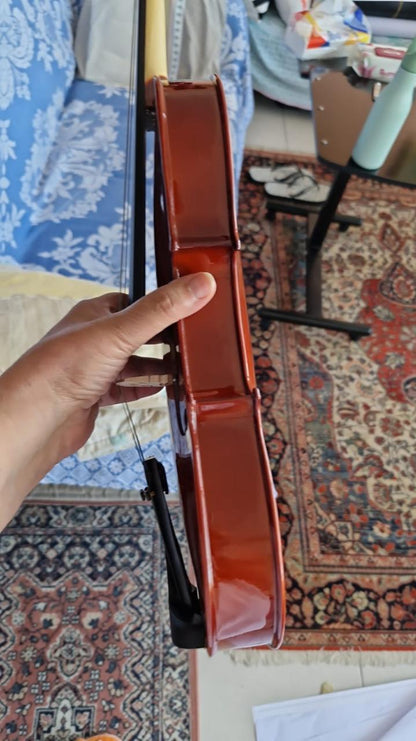 Violin