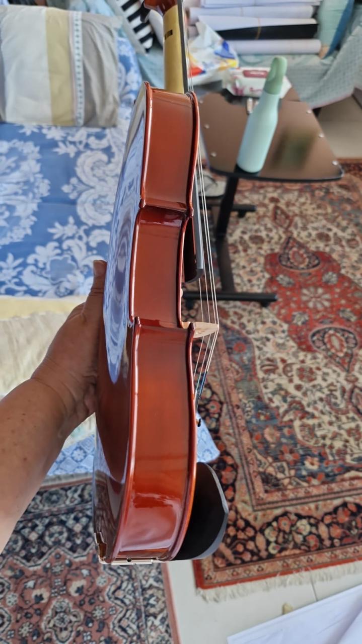 Violin