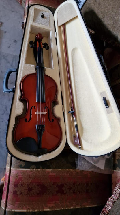 Violin