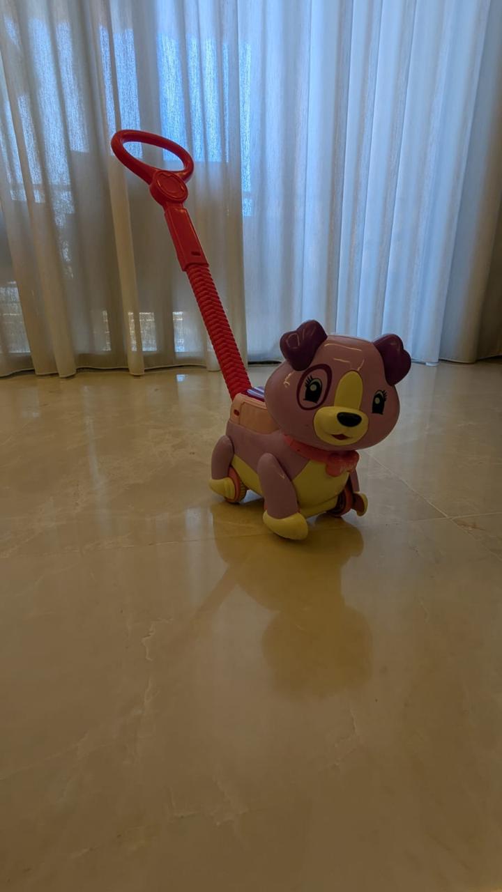 Puppy Toy