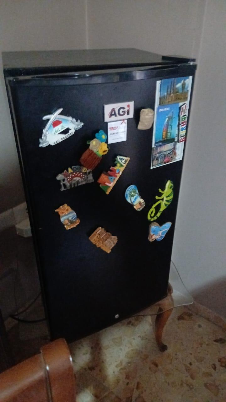 Mini Fridge