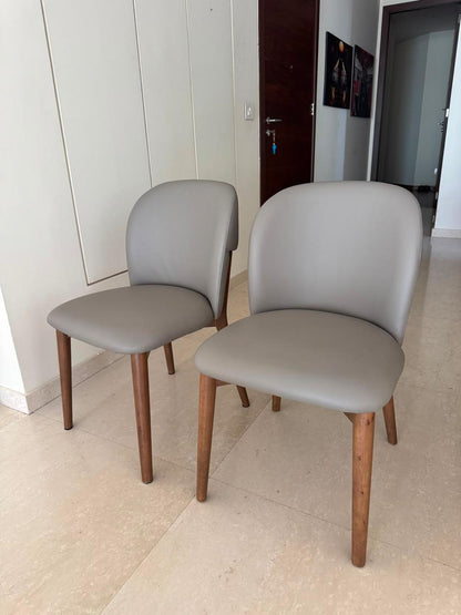 Dining Table Chairs
