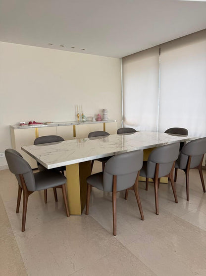 Dining Table Chairs