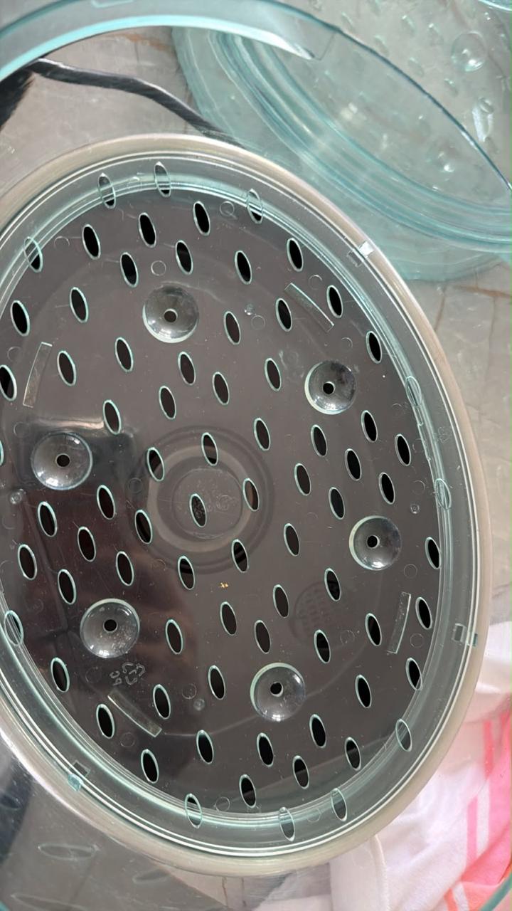 Food Steamer