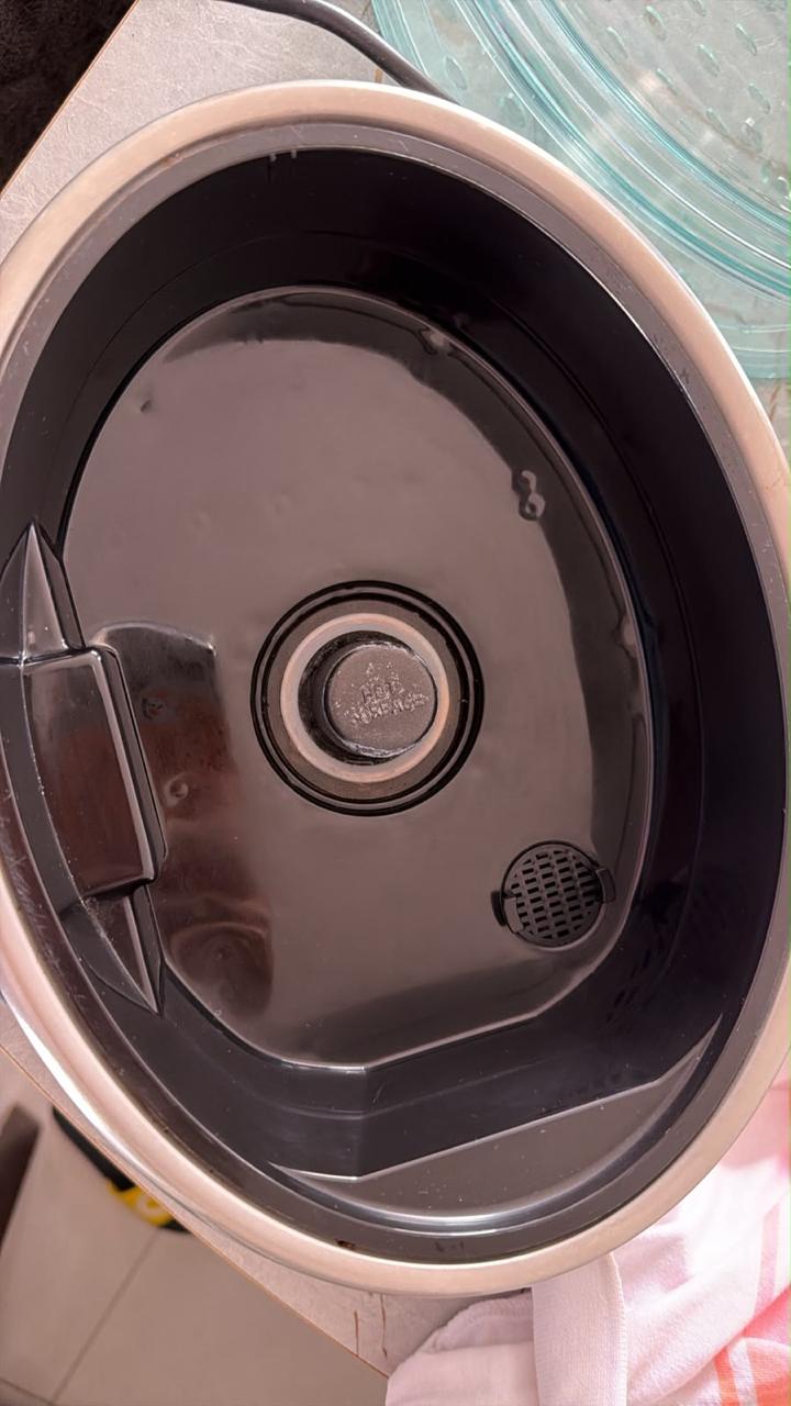 Food Steamer