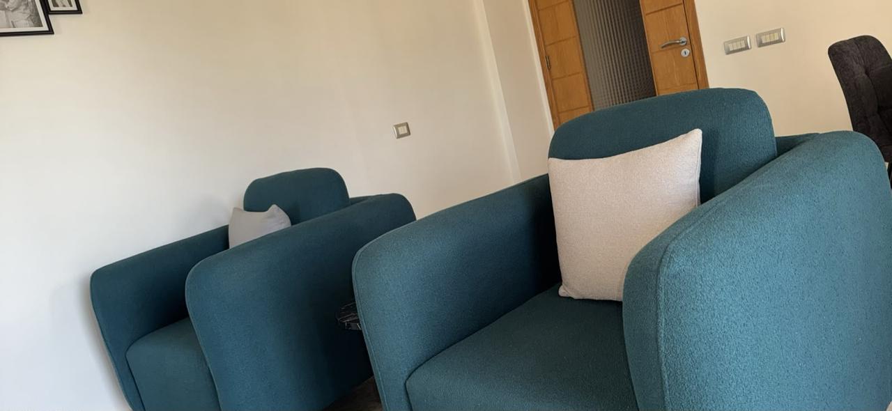 Living Room Set - Couches