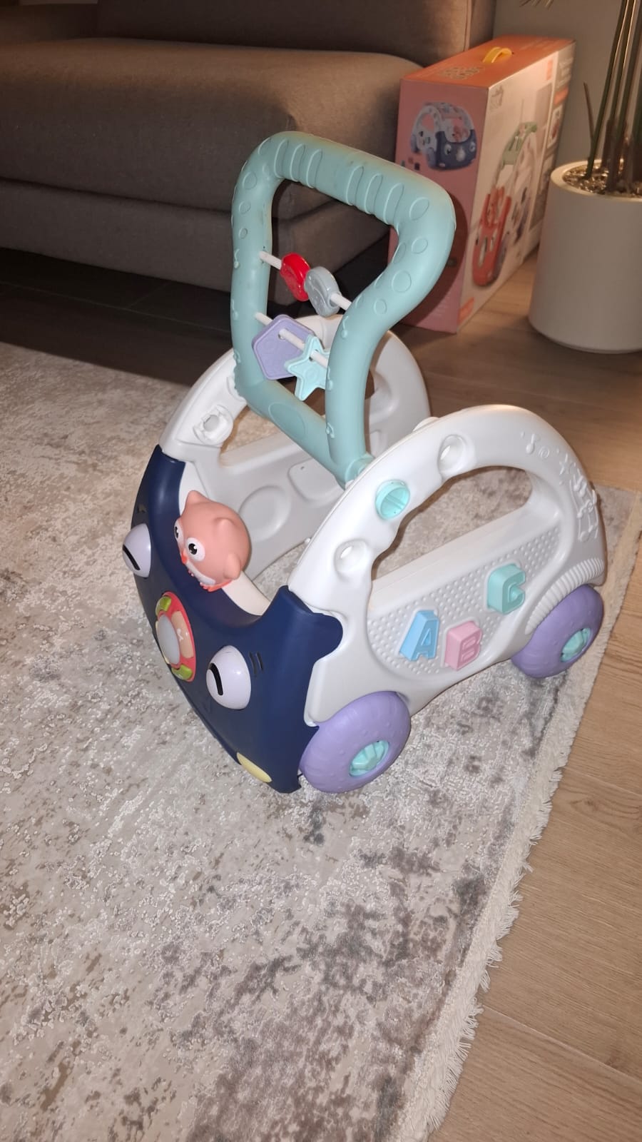 Push walker