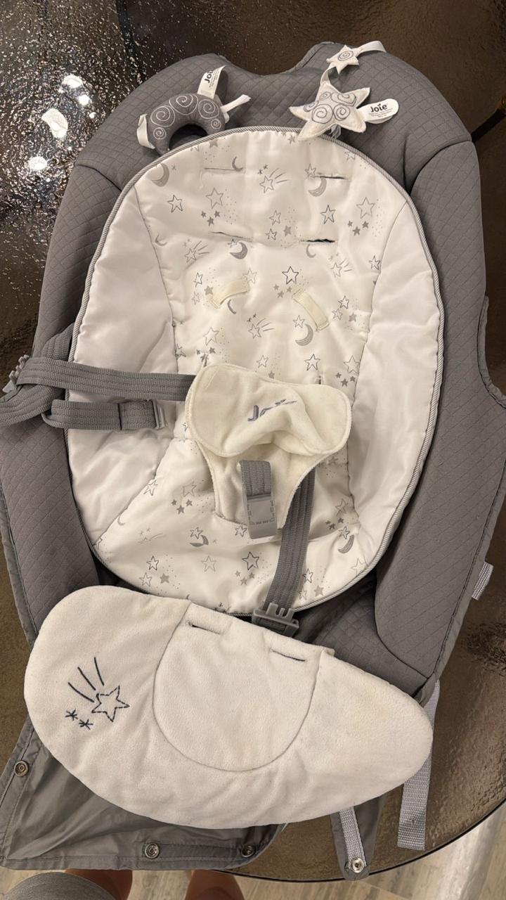 Electric Swing 2 in 1