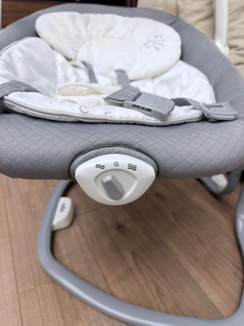 Electric Swing 2 in 1