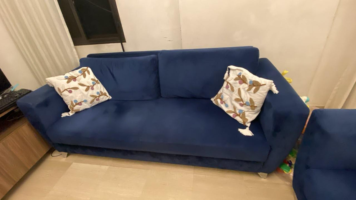 Couches Set