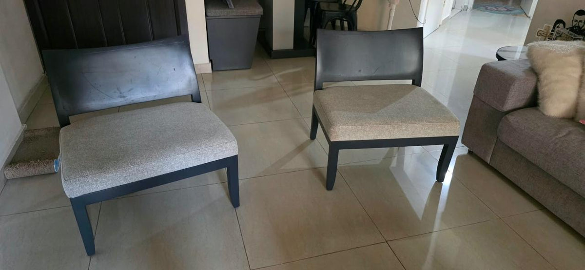Set of 2 Chairs