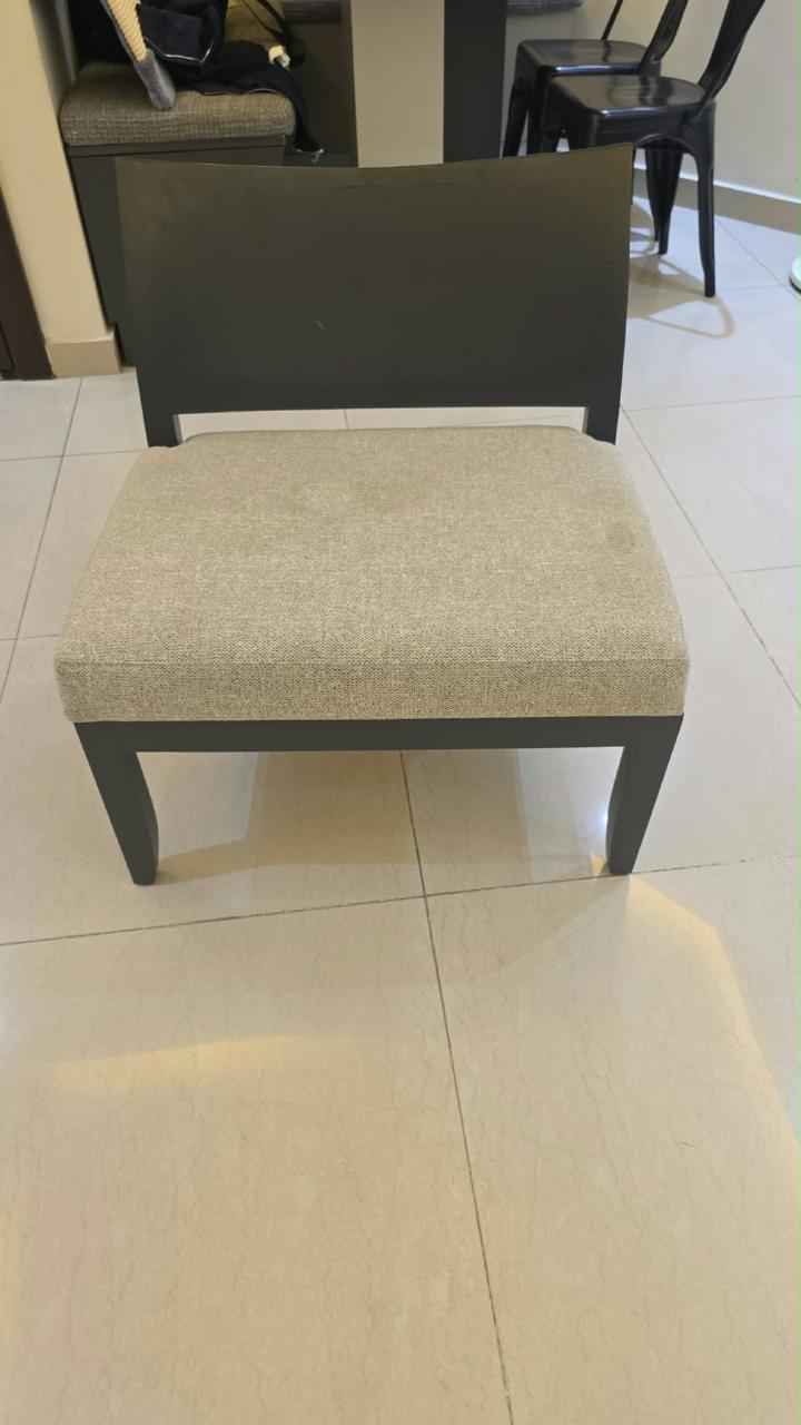 Set of 2 Chairs